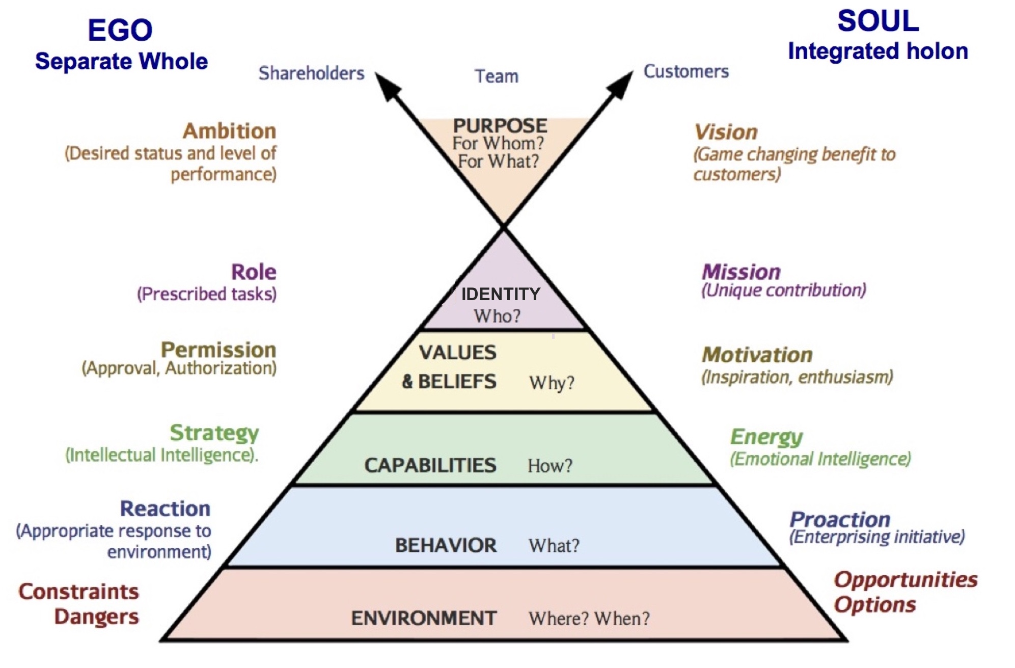 Robert Dilts Pyramid Of Logical Levels, 45% OFF