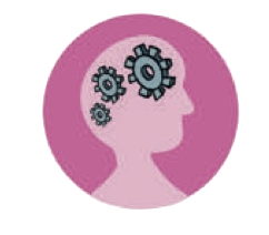Certification Icon